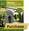 NIV Standard Lesson Commentary